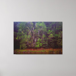 Impressão Em Tela LUSH RAINFOREST 32x48