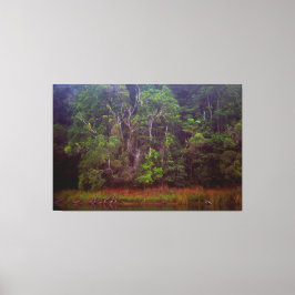 Impressão Em Tela LUSH RAINFOREST 40x60