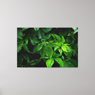 Impressão Em Tela Lush Tropical Green Foliage in Deep Shadows