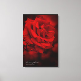 Impressão Em Tela Luxury Rosa：Canvas Print