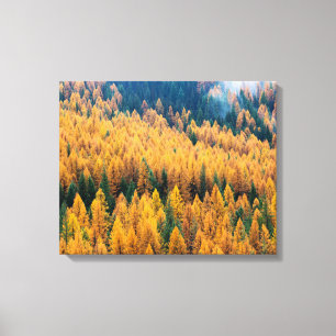 Impressão Em Tela Luz da manhã na praia Ilha Tybee