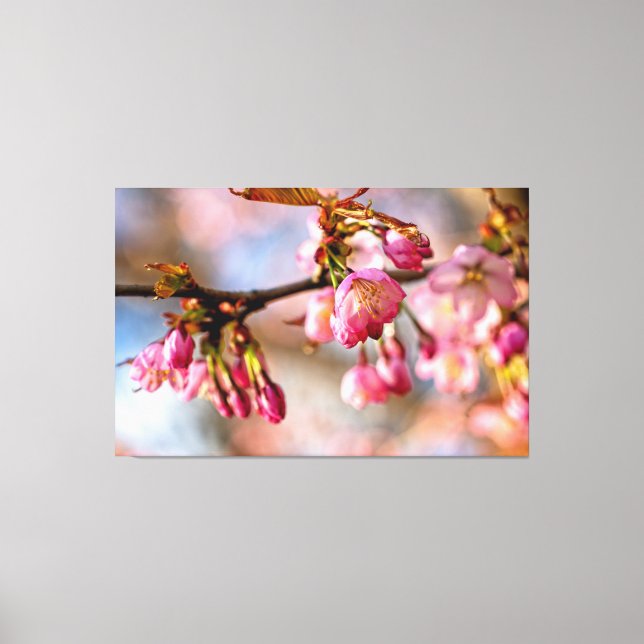 Impressão Em Tela Luz E Sombra Nas Pétalas Da Flor Sakura (Frente)