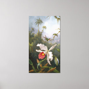 Impressão Em Tela M. J. HEADE Dois beija-flores acima de uma Orquíde