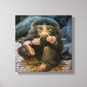 Impressão Em Tela Macaco bobo