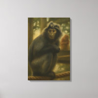 Macaco Contemplativo - Arte Serena Selvagem