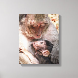 Impressão Em Tela Macaco da mãe & do bebê