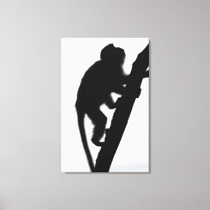 Impressão Em Tela Macaco em uma árvore, península de Railay,