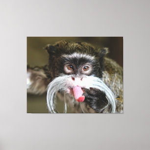 Impressão Em Tela Macaco insolente do Tamarin do imperador