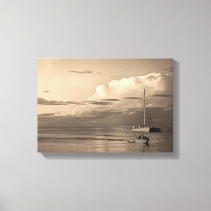 Impressão Em Tela Macaco Mia