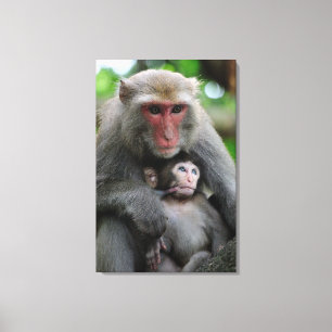 Impressão Em Tela Macaco quealimenta seu bebê