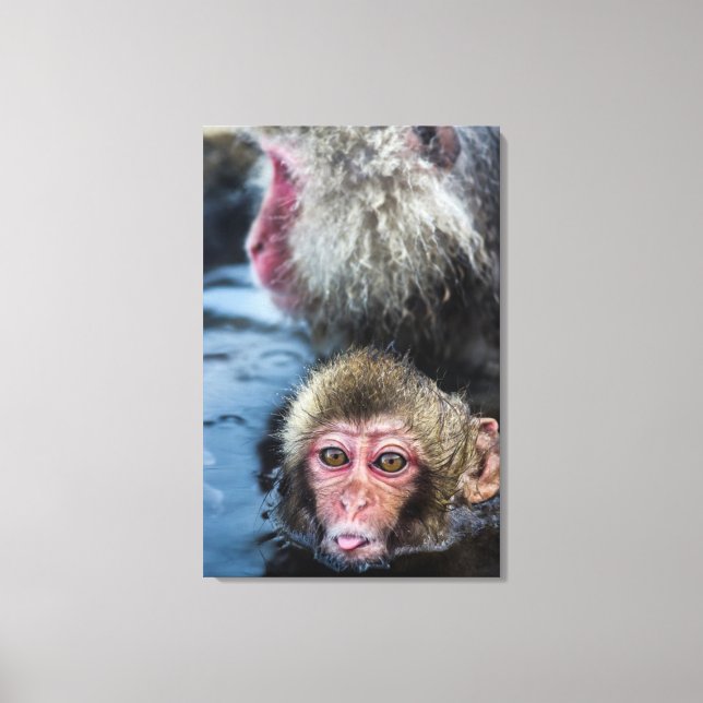 Impressão Em Tela Macaque Baby Japonês (Frente)
