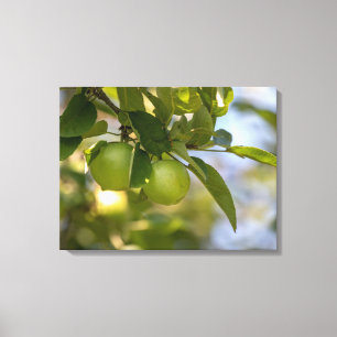 Impressão Em Tela Maçãs no Ramo