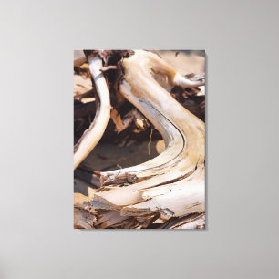 Impressão Em Tela Madeira de Driftwood - Lakeshore Nacional das Roch