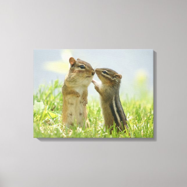 Impressão Em Tela Mãe E Bebê Chipmunk (Frente)