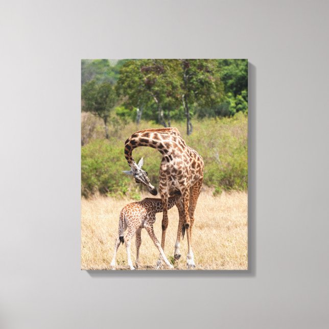 Impressão Em Tela Mãe e bebê de girafa no Quênia (Frente)