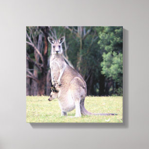 Impressão Em Tela Mãe Kangaroo com Bebê Joey em sua bolsa