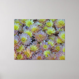 Impressão Em Tela Mãe o Word para Distribuidor de Queda em um