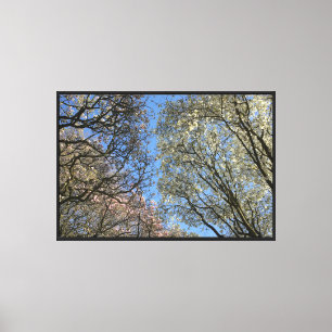 Impressão Em Tela Magnolia Árvores, Ramais e Flores