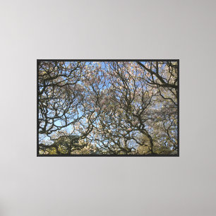 Impressão Em Tela Magnolia Trees, Ramais e Flor 02