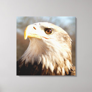 Impressão Em Tela Maiestoso Americano Bald Eagle Closeup