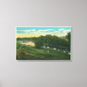 Impressão Em Tela MaineView da Ligação de Homeward de Vacas