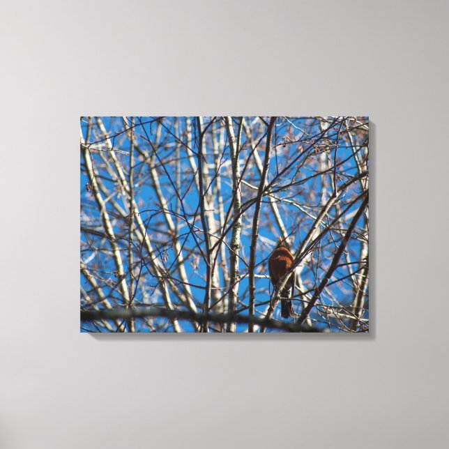 Impressão Em Tela Mais alto para cima (Frente)