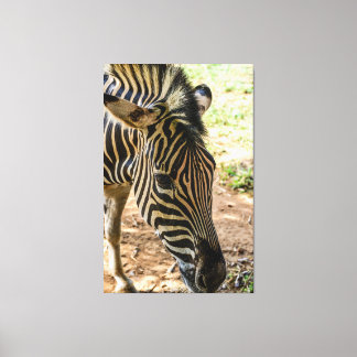 Impressão Em Tela Majestic Zebra Portrait: Bold Black and White Natu