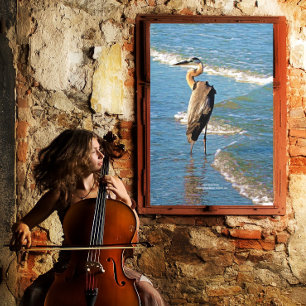 Impressão Em Tela Majexpressa Heron Bird Ocean Waves Flórida EUA