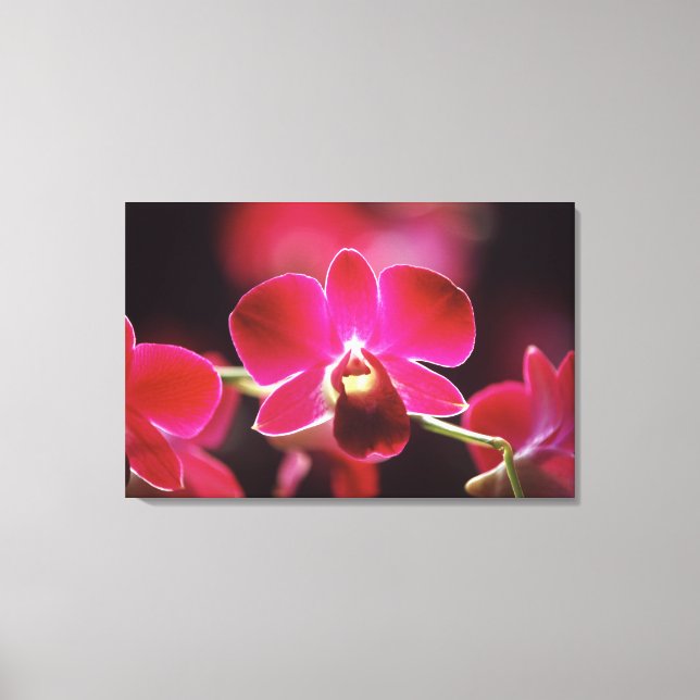 Impressão Em Tela Malásia, Orquídea (Frente)