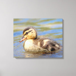 Impressão Em Tela Mallard Duckling
