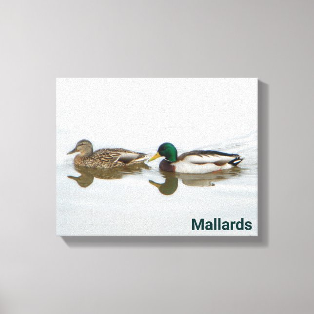 Impressão Em Tela Mallards (Frente)