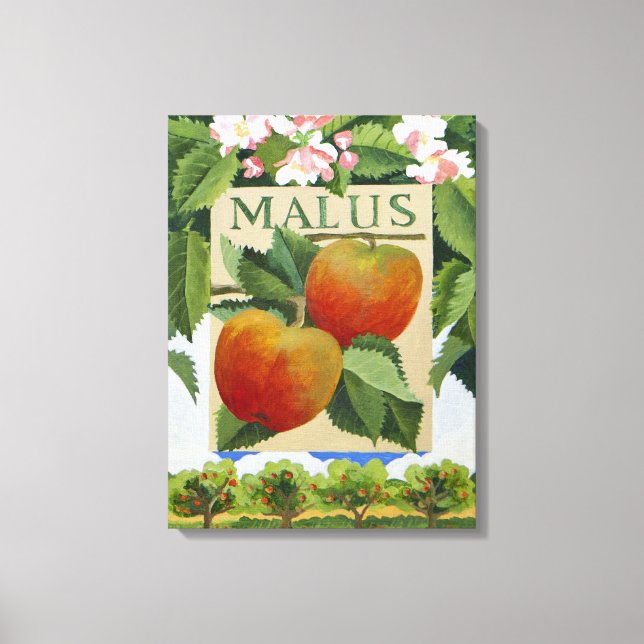 Impressão Em Tela Malus (Frente)