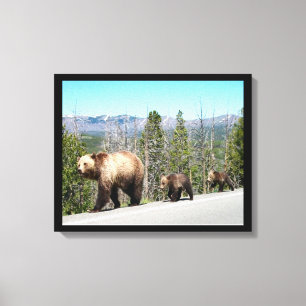 Impressão Em Tela Mamãe e Cubs de Urso Grizzly Selvagem em Yellowsto