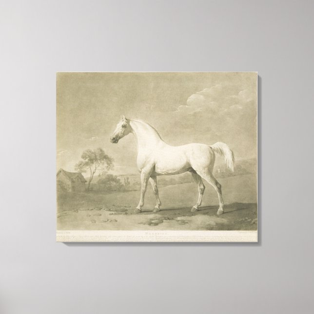 Impressão Em Tela Mambrino, após George Stubbs, 1788 (mezzotint) (Frente)