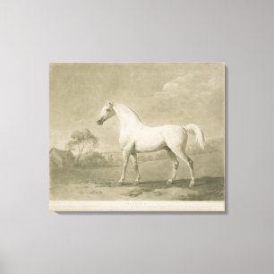 Impressão Em Tela Mambrino, após George Stubbs, 1788 (mezzotint)
