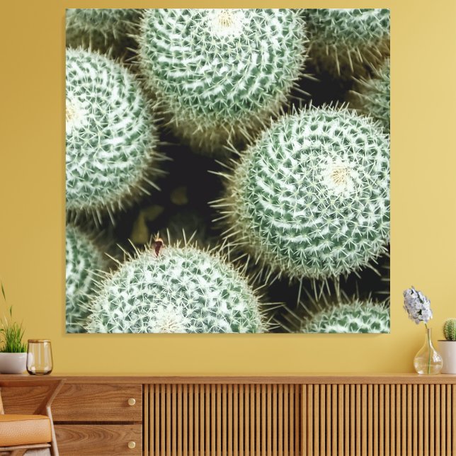 Impressão Em Tela Mammillaria hahniana (Insitu(Sala de estar))