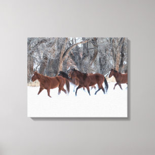 Impressão Em Tela Manada de Cavalos Correndo na Neve de Inverno