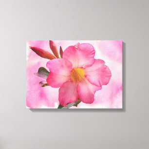 Impressão Em Tela Mandevilla Vine Rosa