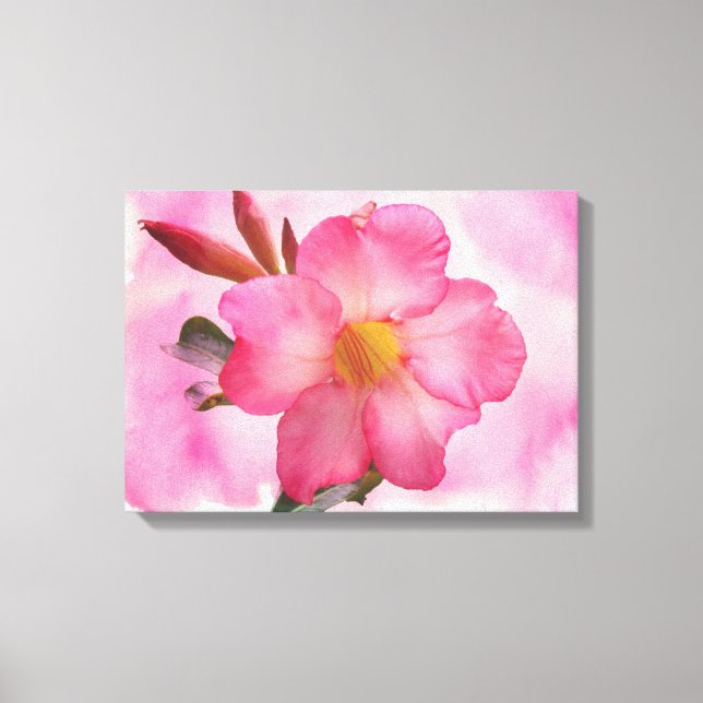 Impressão Em Tela Mandevilla Vine Rosa (Frente)