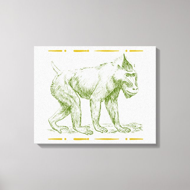 Impressão Em Tela Mandrill Monkey (Frente)