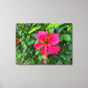 IMPRESSÃO EM TELA MANHÃ DO PARADISMO