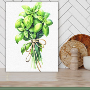 Impressão Em Tela Manjericão Brilhante Aquarela Arte Herbácea Fresca