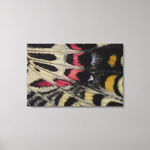 Impressão Em Tela Mansfieldi de Bhutanitis do fim-acima do lado de