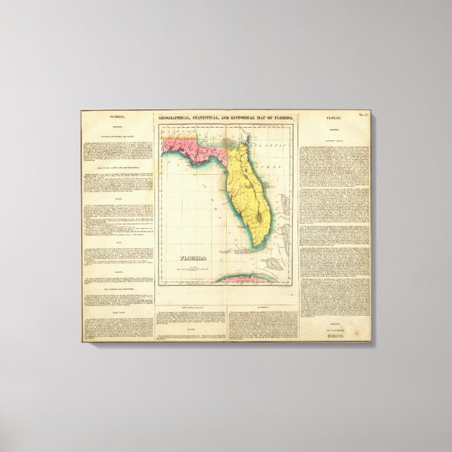 Impressão Em Tela Mapa Da Flórida (Frente)