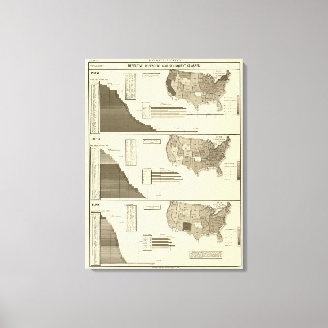Impressão Em Tela Mapa estatístico insano, idiótico, cego (Frente)