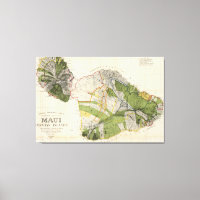 Mapa Vintage da Ilha Maui (1906)
