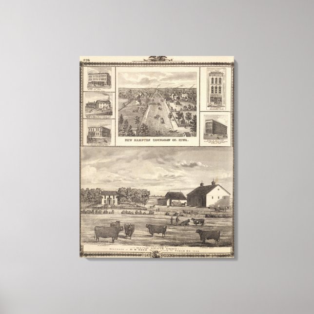 Impressão Em Tela Maple Grove Herd, Cedar Co New Hampton (Frente)