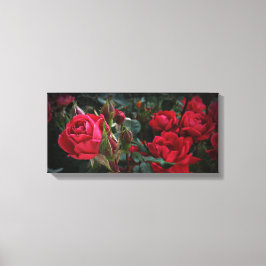 Impressão Em Tela Mar de Blooms do Amor (Rosas vermelhas e Buds)