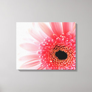Impressão Em Tela Margarida Gerbera  
