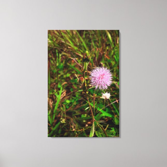 Impressão Em Tela Maria-fecha-a-porta (Frente)